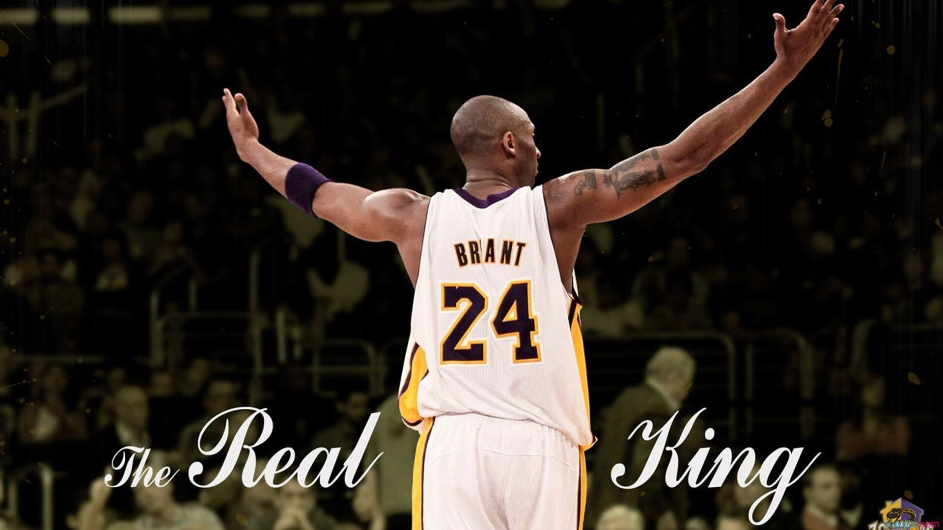 体育仲裁裁决引发热议，运动员权益保障再成